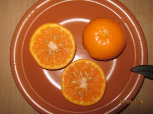 111.jpg