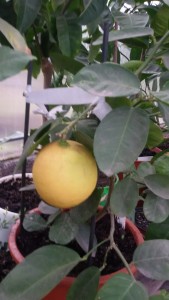 20160930_083830.jpg