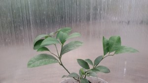 20160930_085234.jpg