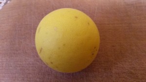 20161012_181243.jpg