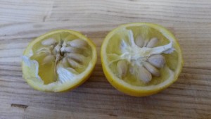 20161012_181435.jpg