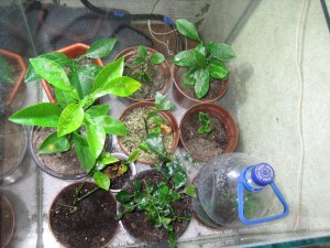 IMG_4997.JPG