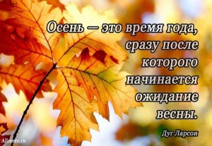 56c611.jpg
