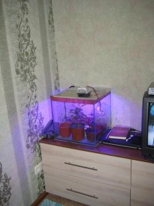 IMG_5006.JPG
