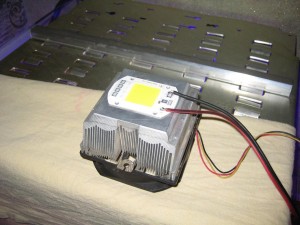 IMG_5005.JPG
