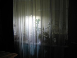 IMG_5009.JPG