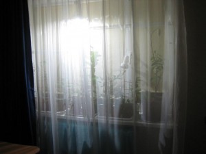 IMG_5011.JPG