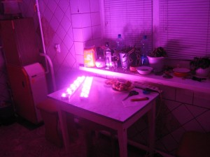 IMG_5017.JPG