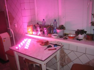 IMG_5018.JPG