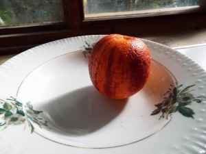 DSCF0723.JPG