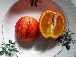 DSCF0724.JPG