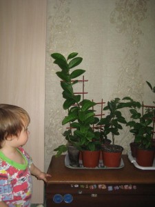 IMG_5044.JPG