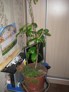 IMG_5042.JPG
