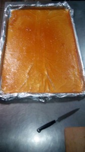 IMG_20161109_53754.jpg