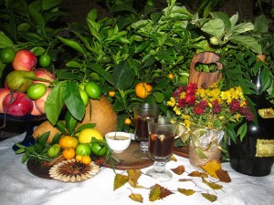 IMG_0020.JPG