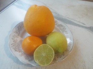 DSCF0814.JPG