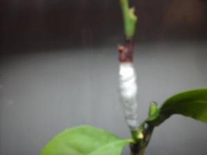20161128_140842.jpg