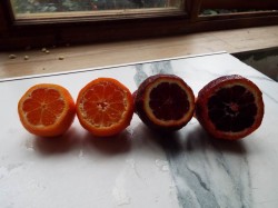 DSCF0878.JPG