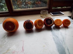DSCF0916.JPG