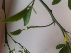 IMG_0073.JPG