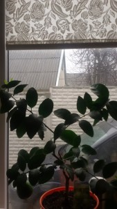 20150312_160323.jpg