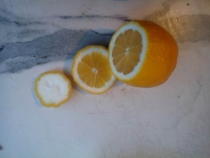 IMG_20150314_181937.jpg