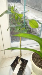 20170410_183741.jpg