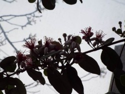DSCF1128.JPG