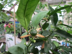 IMG_3557.JPG