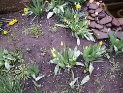 20170418_152644.jpg