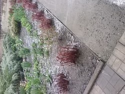 20170418_153138.jpg