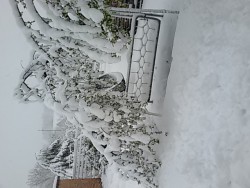 20170419_071902.jpg