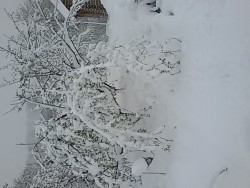 20170419_071923.jpg