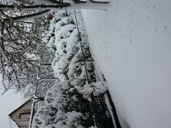 20170419_084709.jpg
