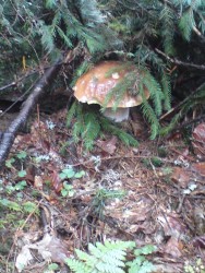 DSC00666.JPG