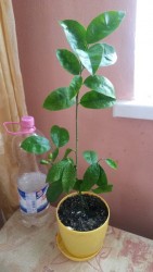20170422_164921.jpg