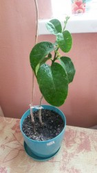 20170422_164400.jpg