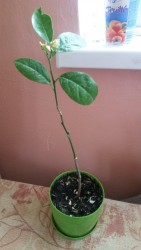 20170422_164257.jpg