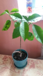 20170422_164150.jpg