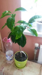 20170422_164540.jpg