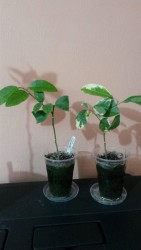 20170422_174632.jpg