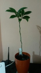 20170422_174649.jpg