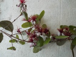 DSCF1149.JPG