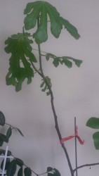 20170503_090534.jpg