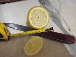 DSCF1376.JPG