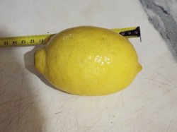 DSCF1375.JPG