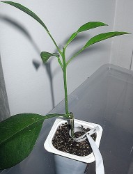IMG_6351.JPG