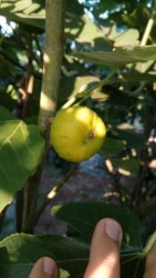 IMG_20170721_2827.jpg