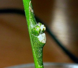 IMG_6413.JPG