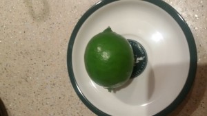 20150404_194623.jpg